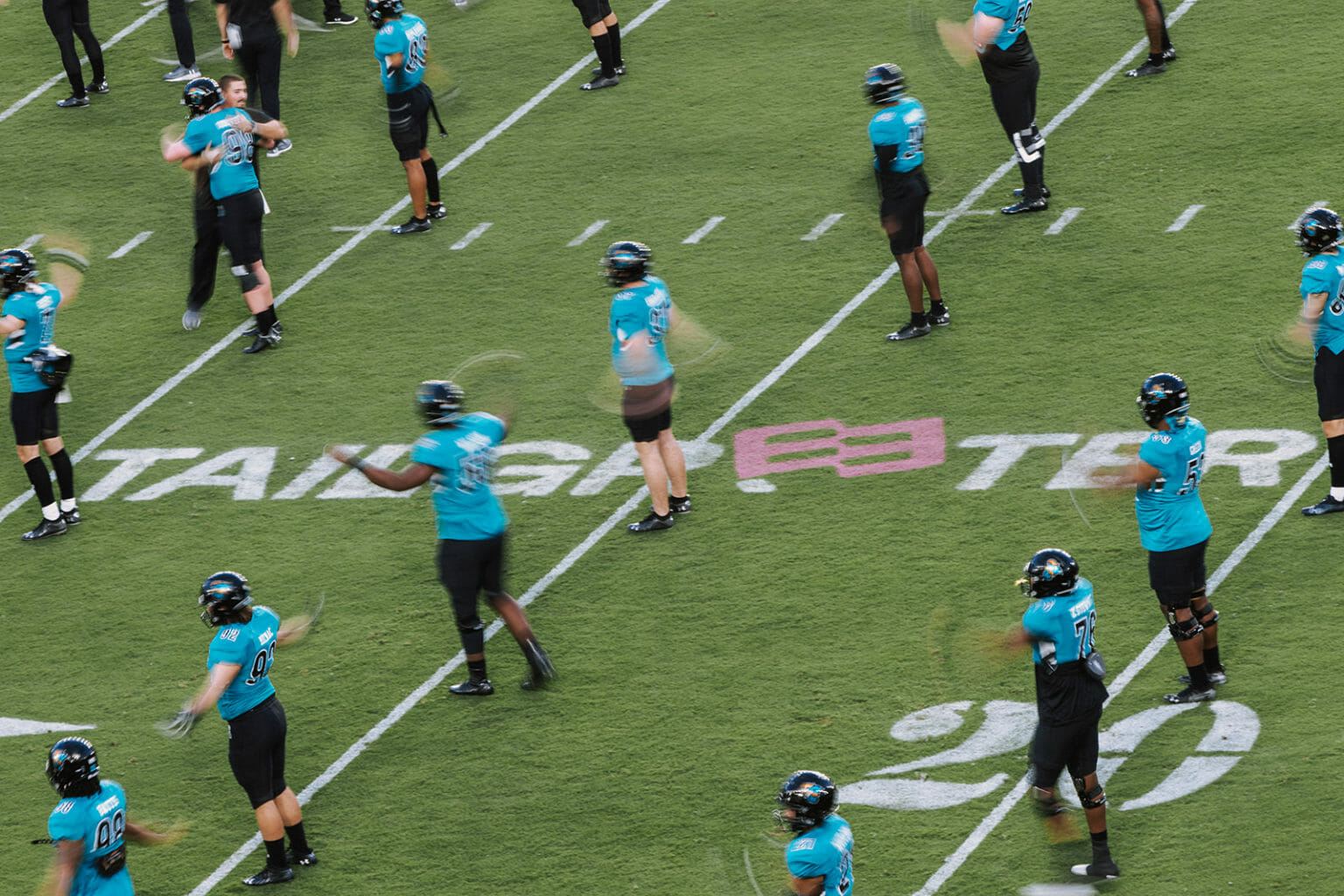 Tailgreeter Cure Bowl