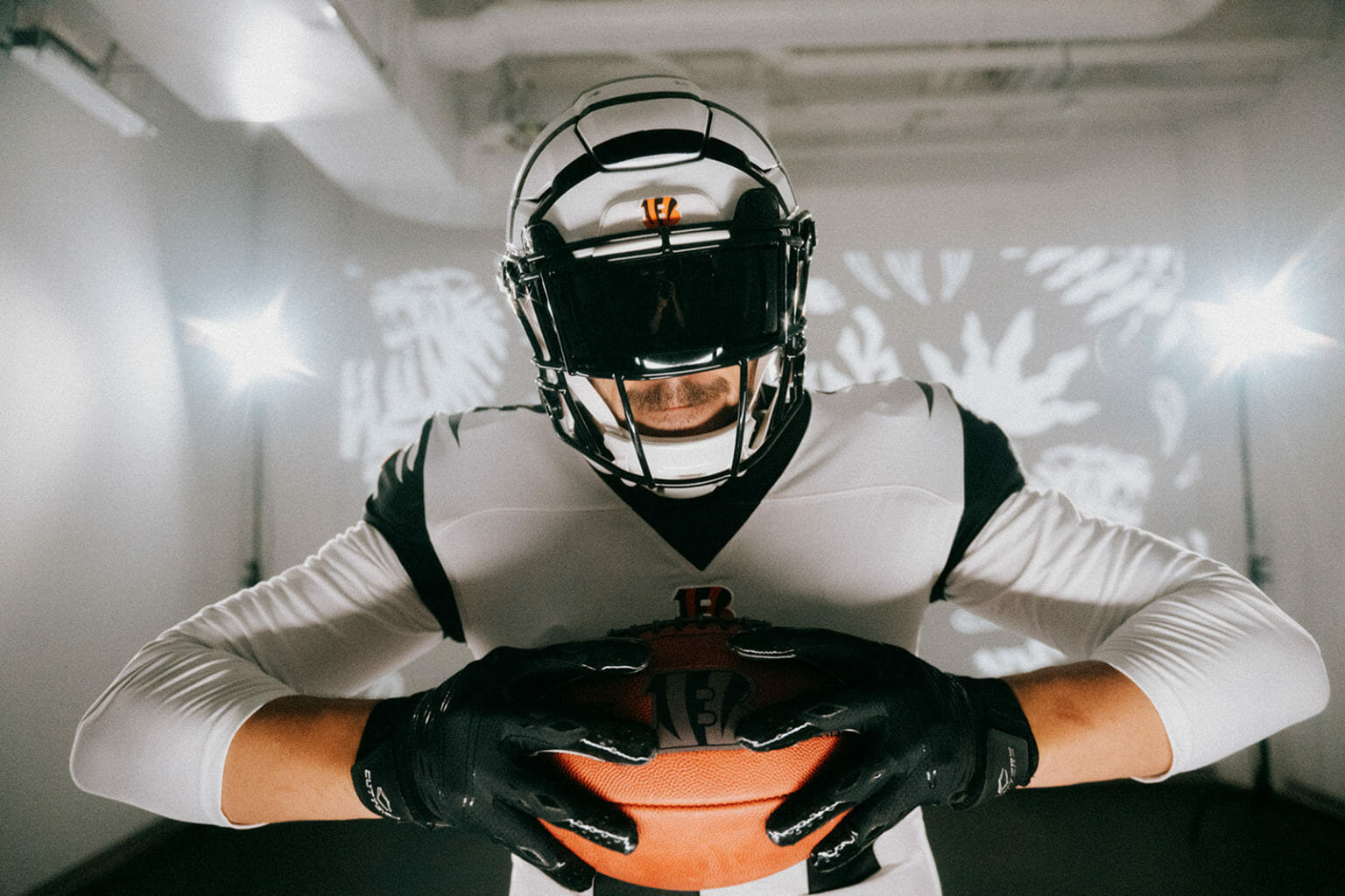 white bengal canvus white bengal canvus